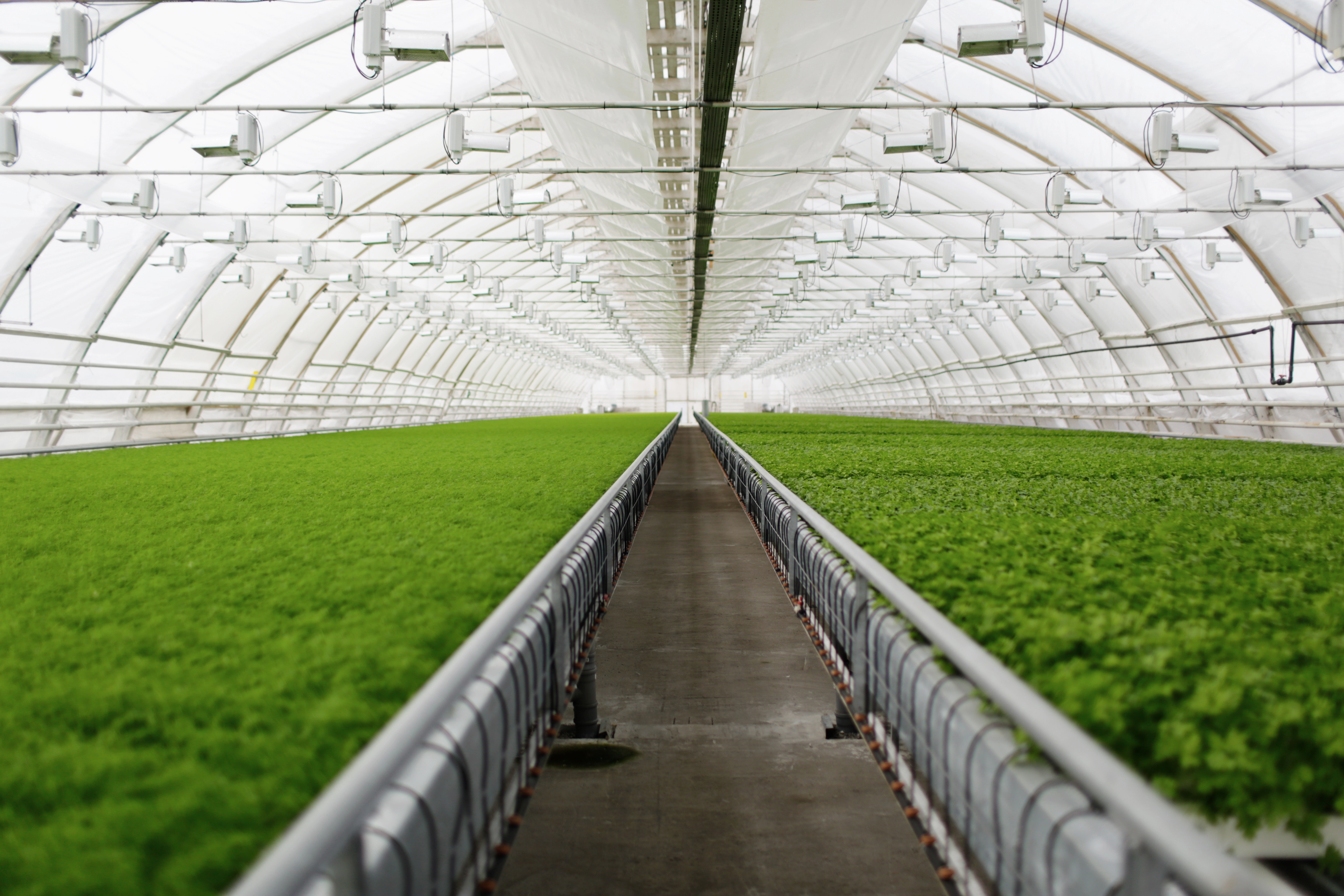 Climate Control at NAFRI